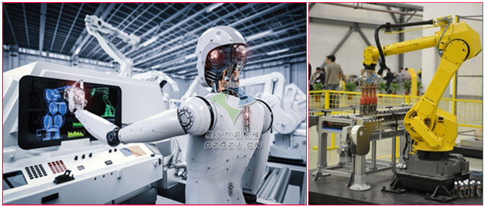 ���I�C����